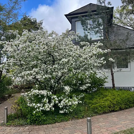 Duenenhaus Lejlighed Timmendorfer Strand